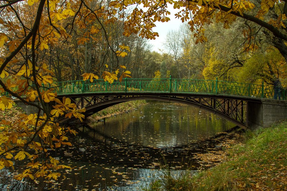 Photograph by Olga Min