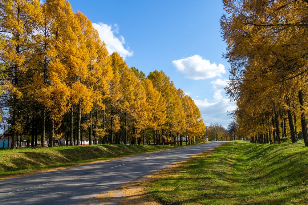 Photograph by Inna Skryagina