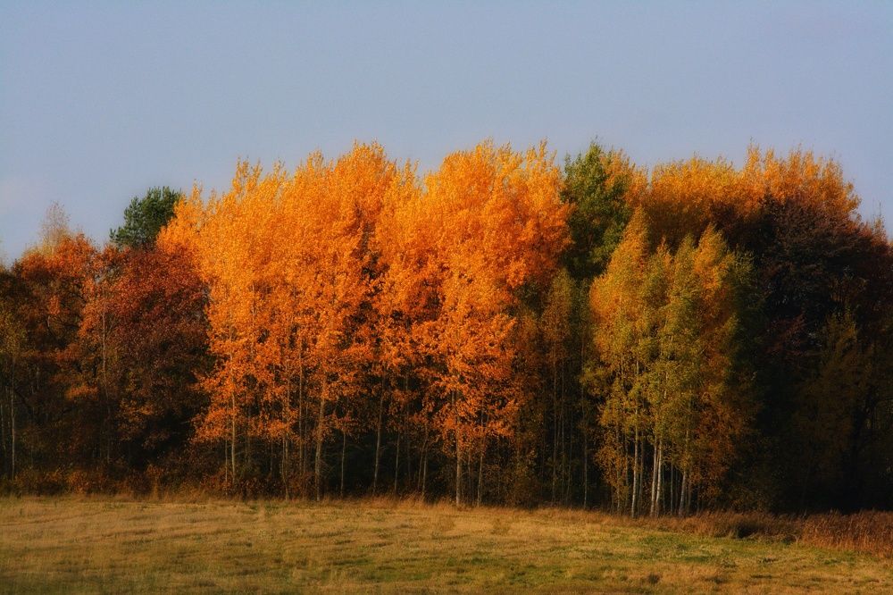 Photograph by Сергей Симаков