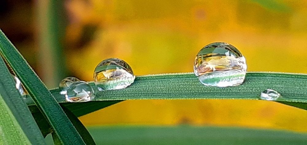 Photograph by Евгения Ульянова