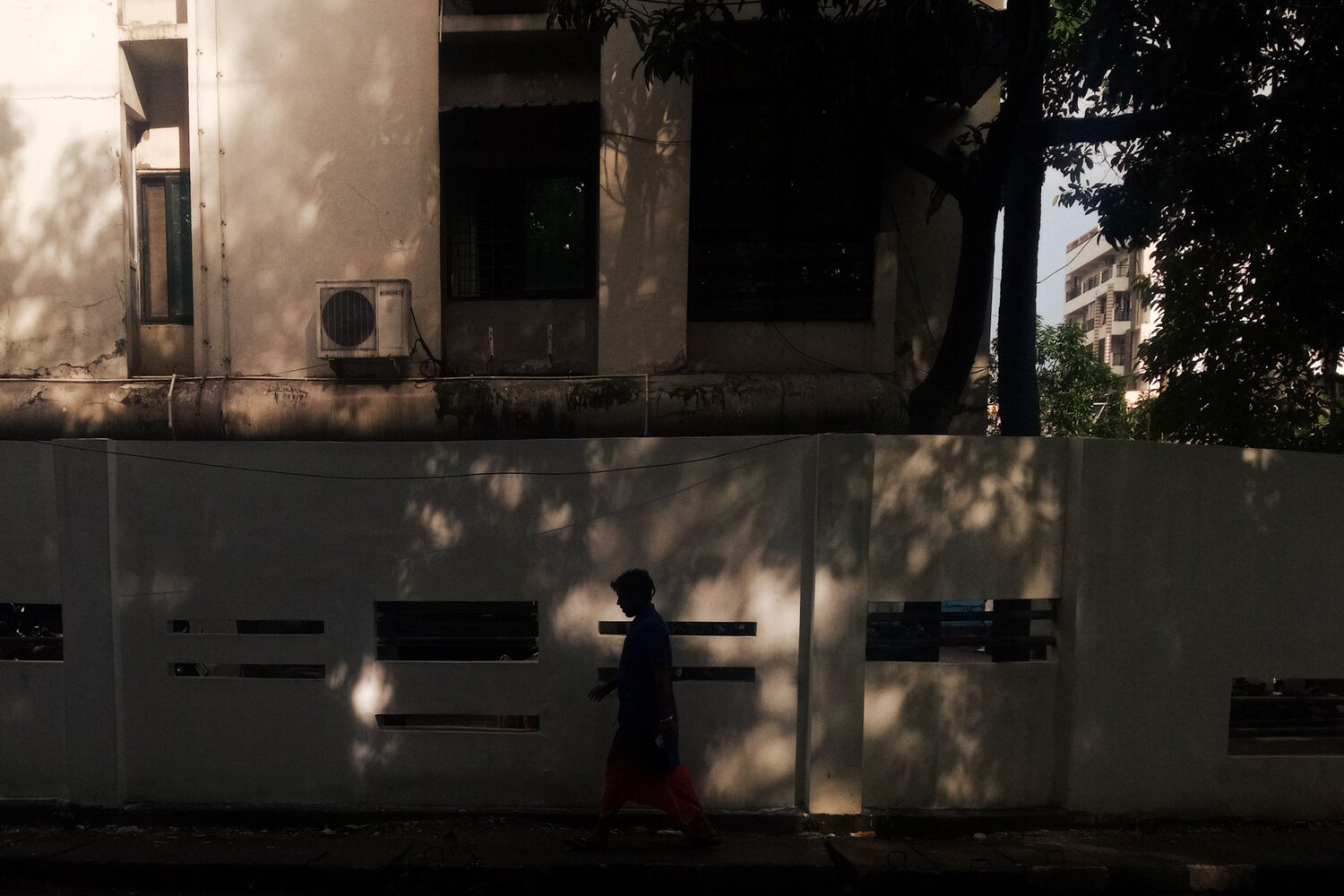 Photo #8194648