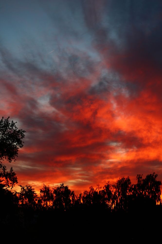 Photograph by Светлана Шуткова