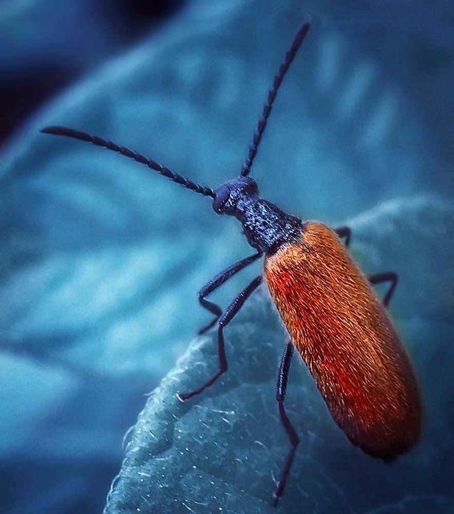 Photograph by Елена Переверзева