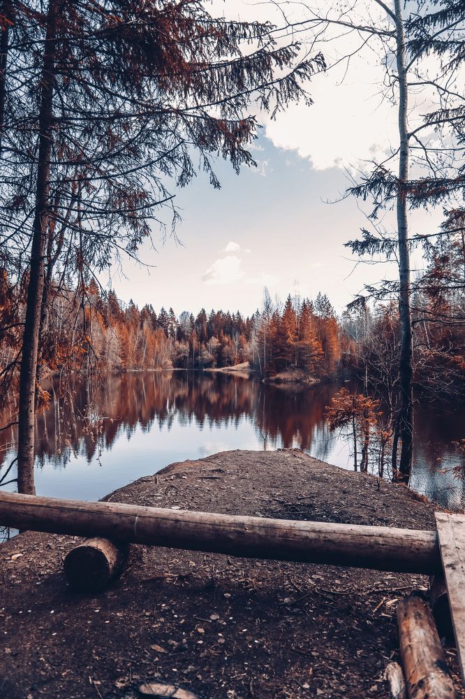 Photograph by Дарья Григорьева