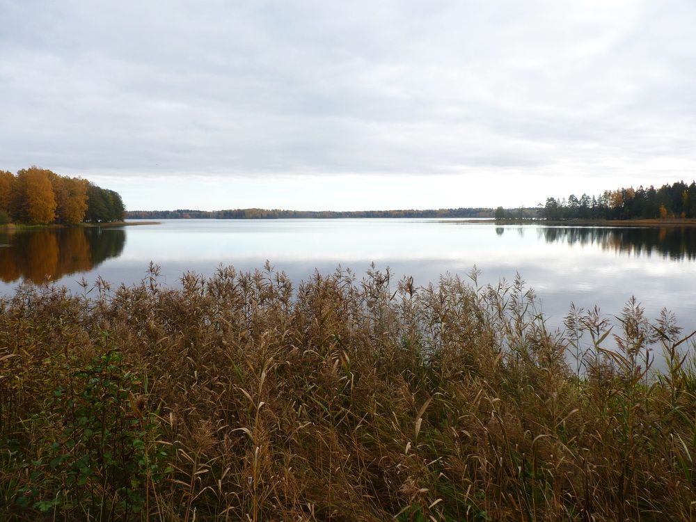 Photograph by Galina Leskova