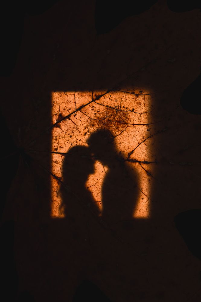 Photograph by Екатерина Воеводская