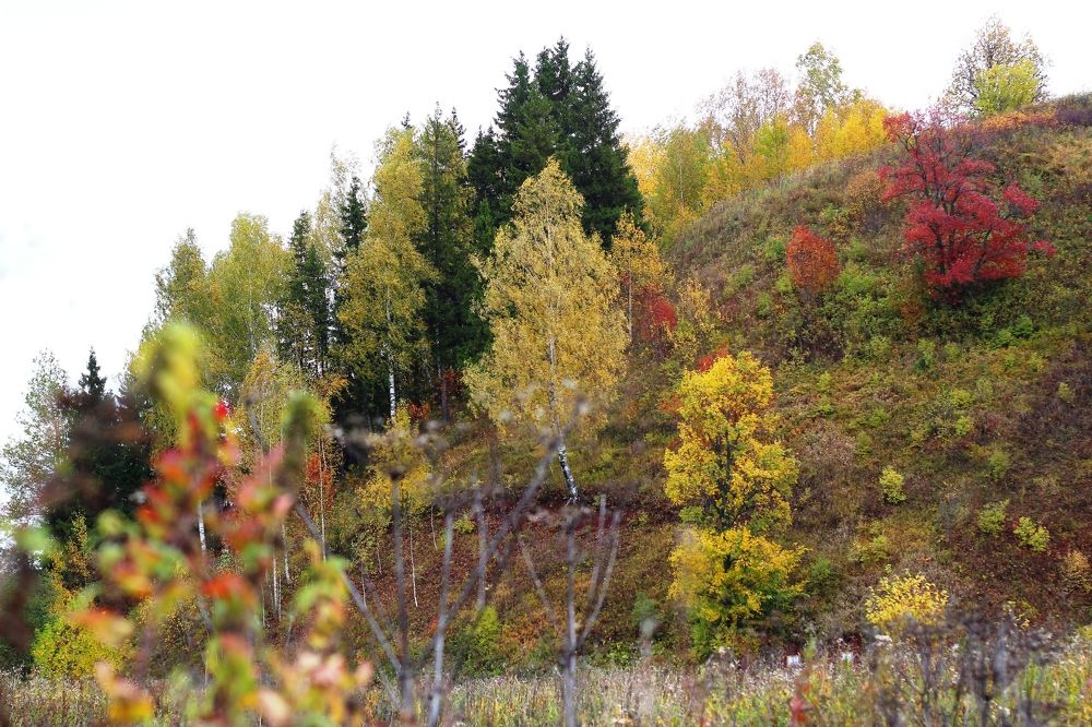 Photograph by Наталия Гвоздева