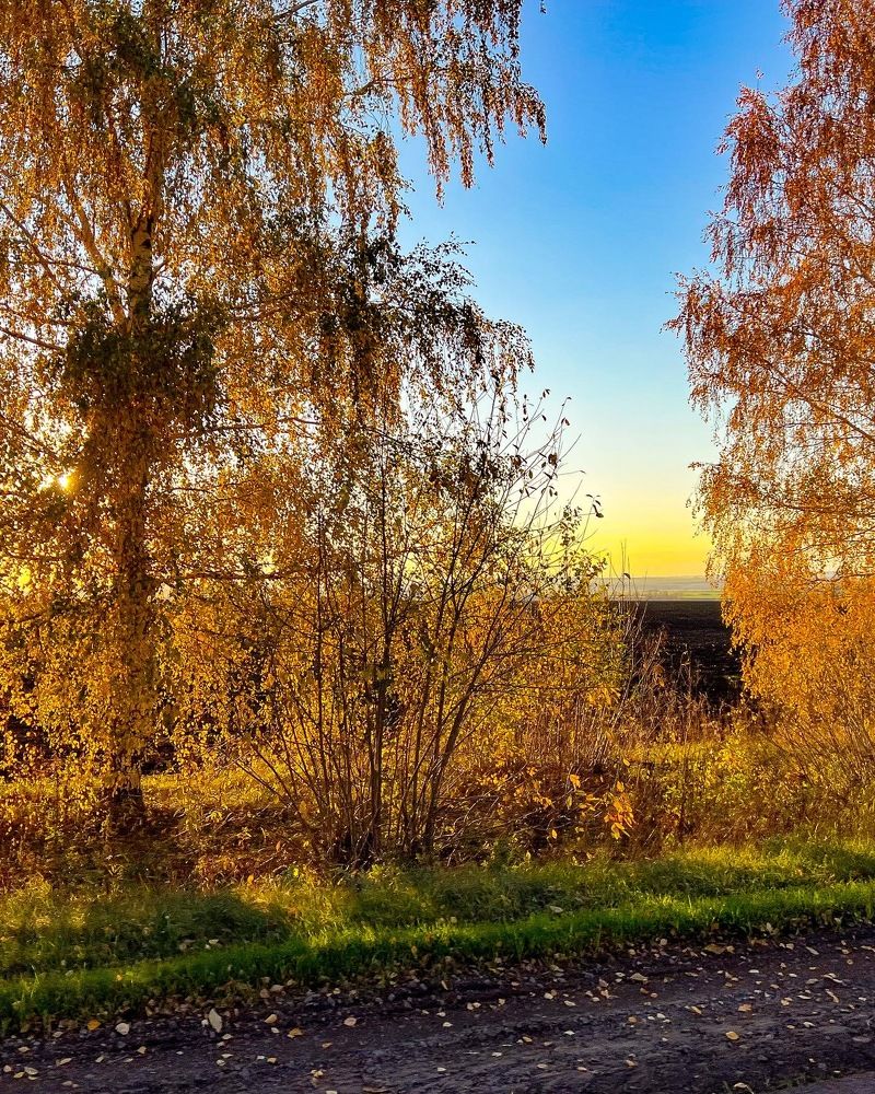 Photograph by Елена Сиушова