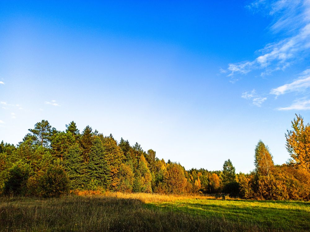 Photograph by Вадим Кумпяк