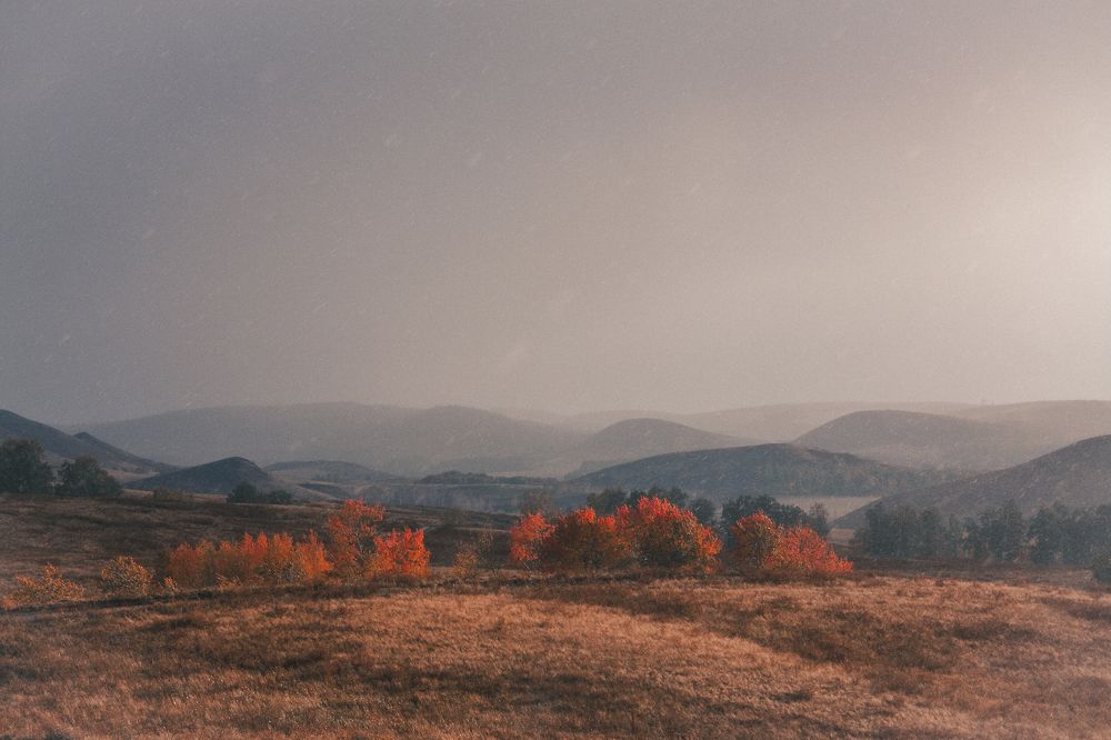 Photograph by Евгений Москвин