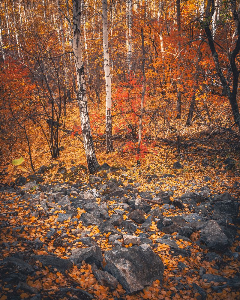 Photograph by Евгений Москвин