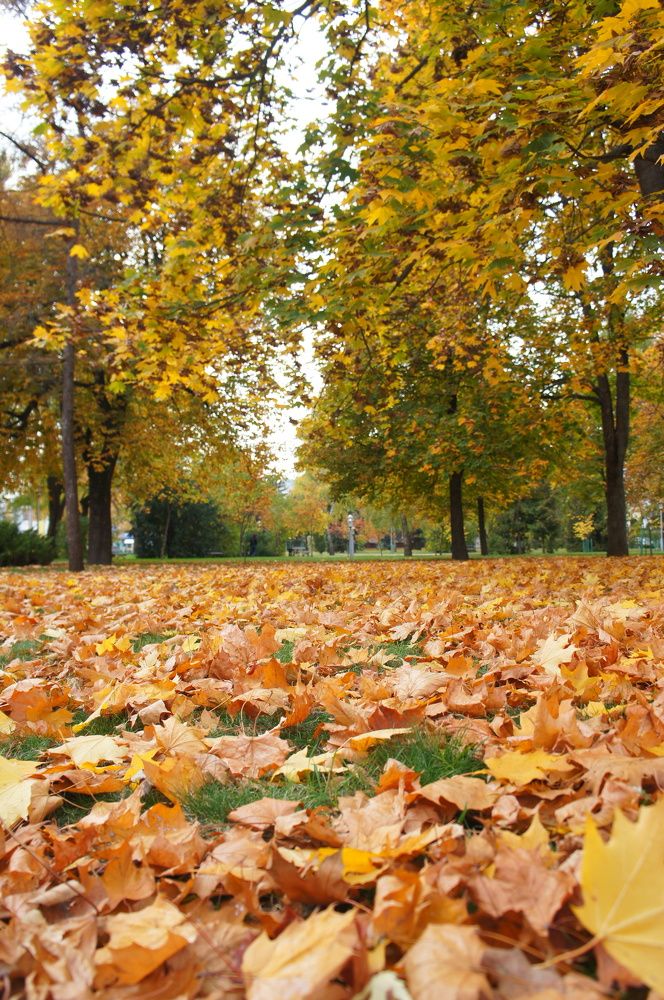 Photograph by Юля Хатыпова