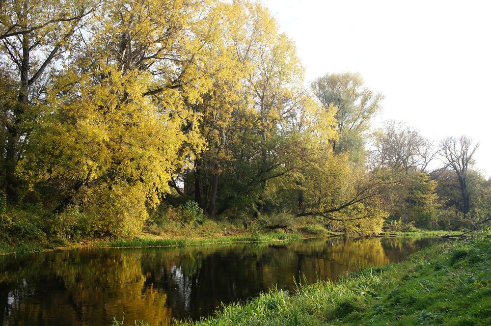 Photograph by Юля Хатыпова