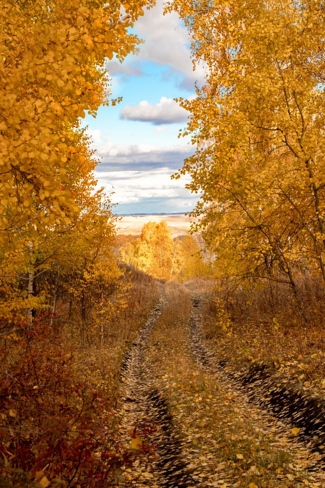 Photograph by Валерий Шорохов