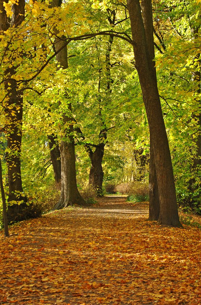 Photograph by Алексей