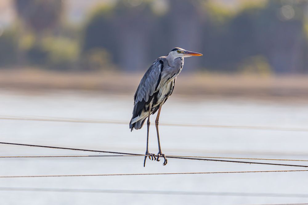 Photograph by KFIR HANUNOV