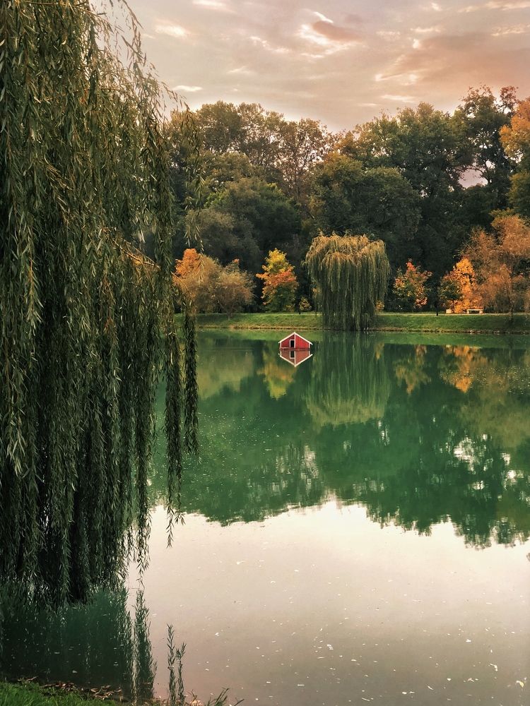 Photograph by Людмила Евстратова