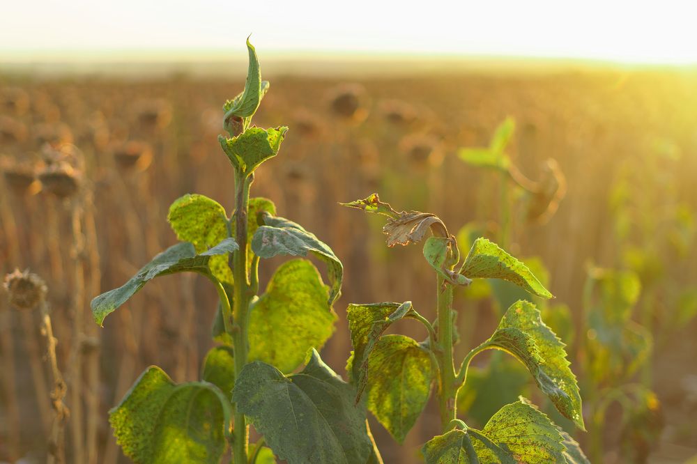 Photograph by Георгий Казанцев