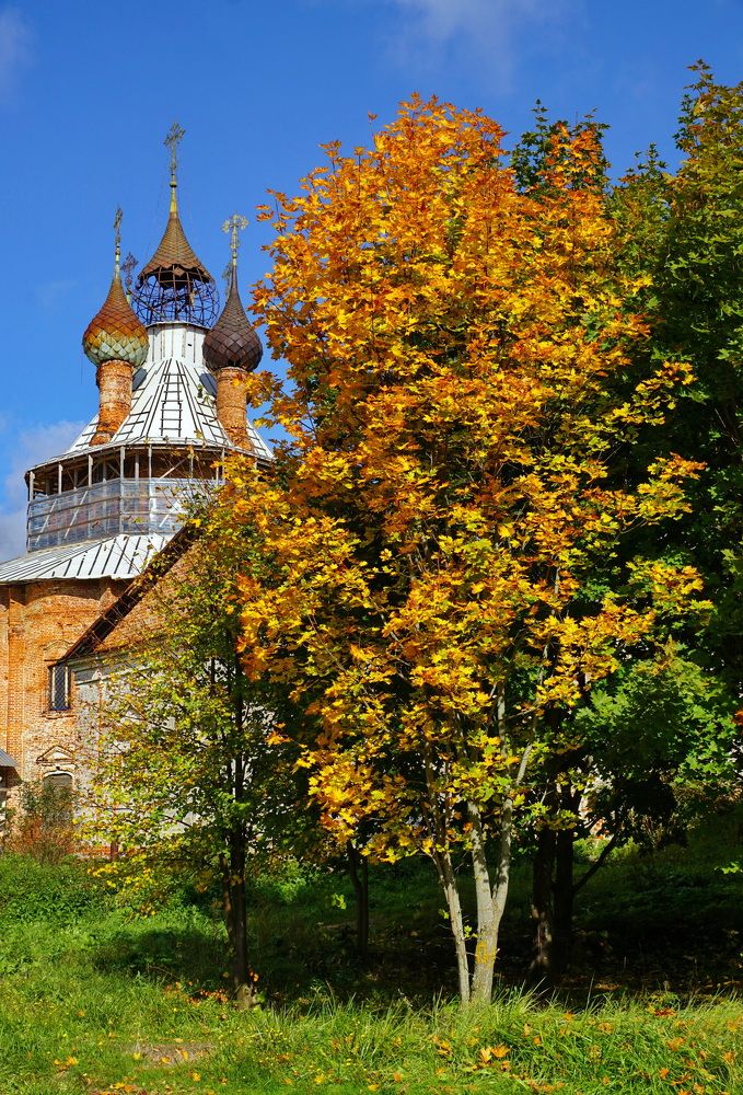 Photograph by Евгений Жиляев