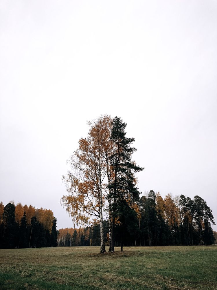 Photograph by Дарья Афанасьева