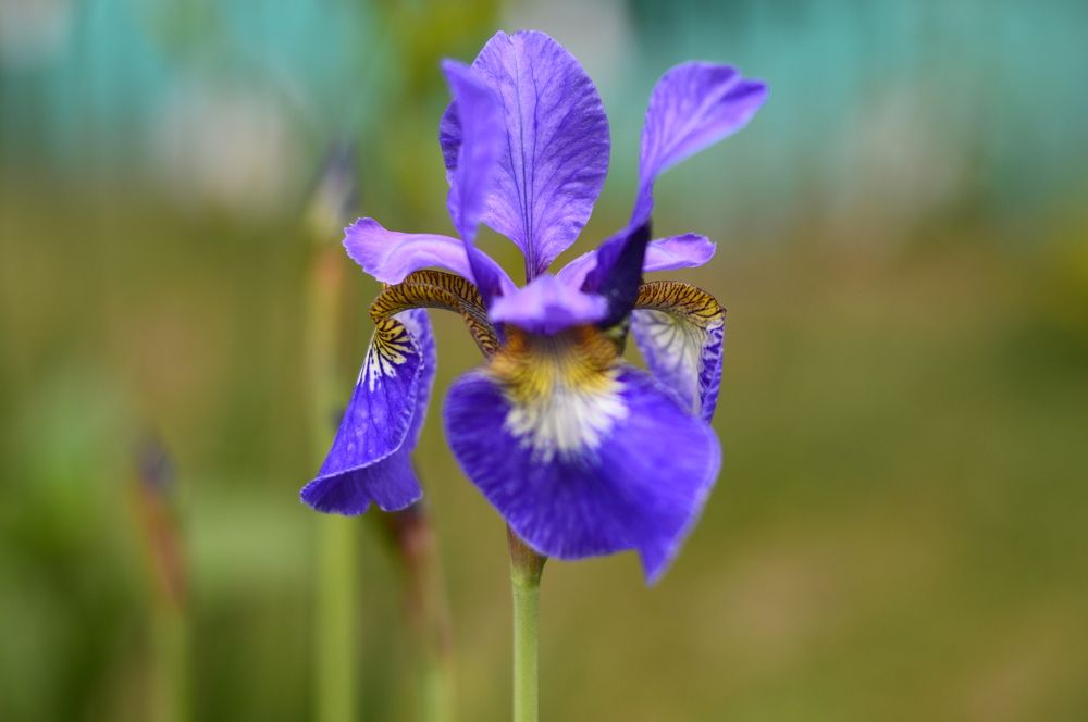 Photograph by Екатерина Казарцева