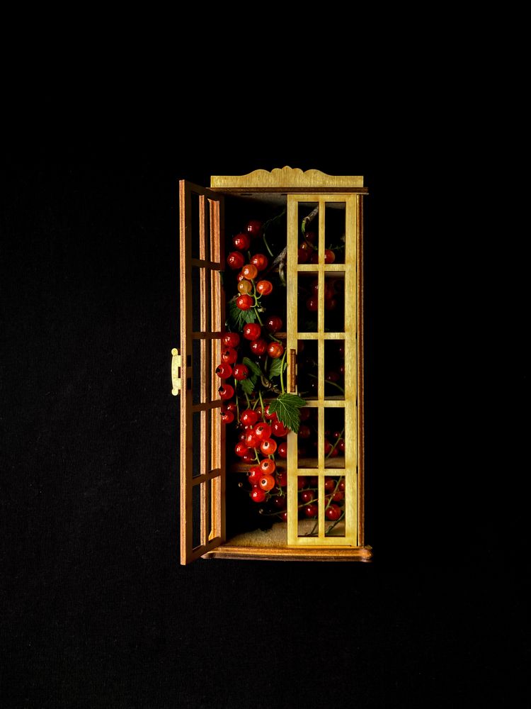 Photograph by Алла Творогова