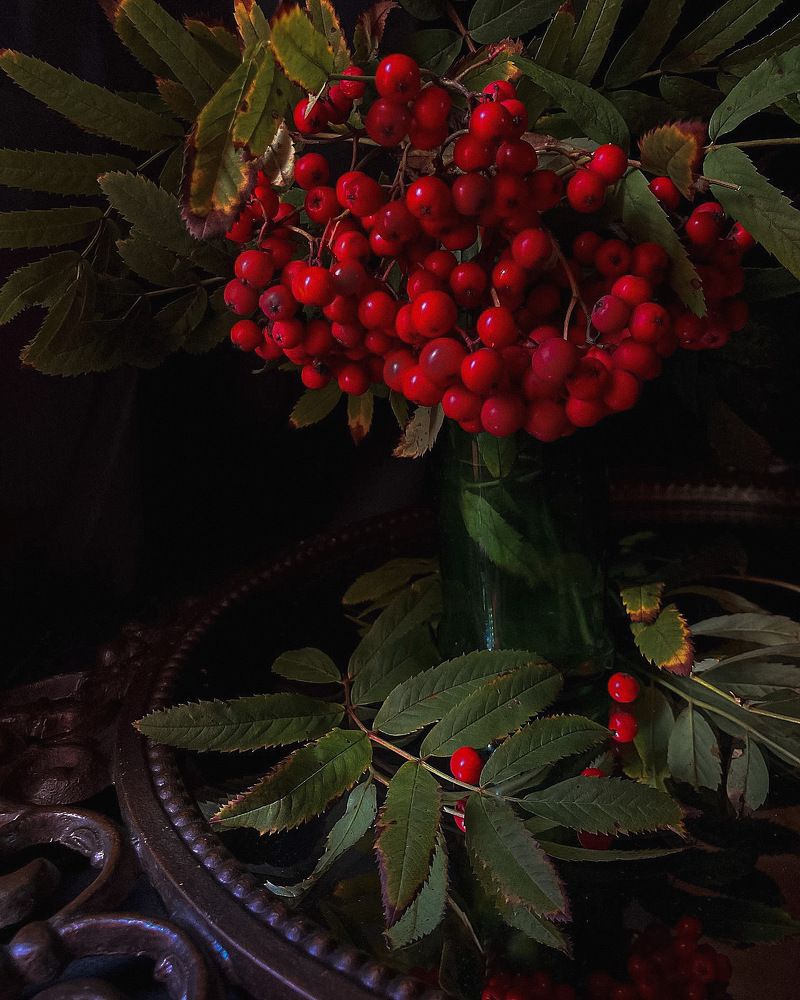 Photograph by Алла Творогова