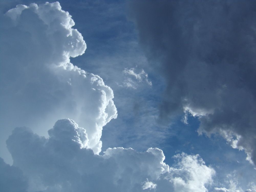 Photograph by Brayam Pua