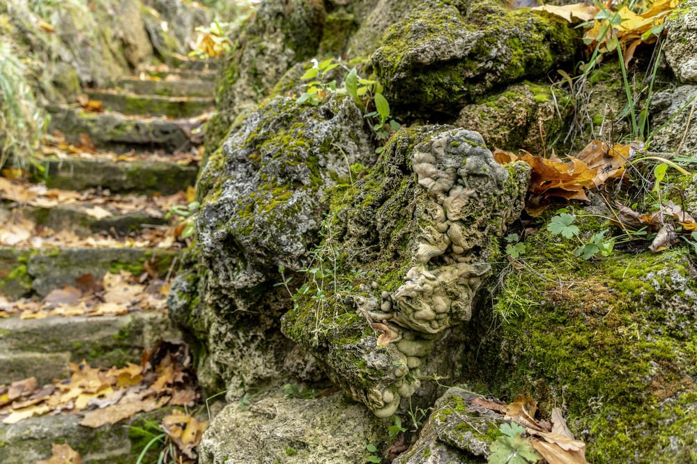 Photograph by Марина Вильдяева