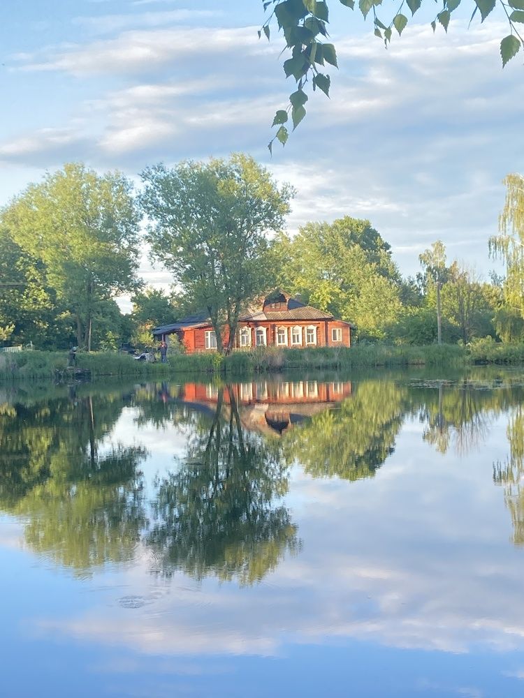 Photograph by Алла Творогова