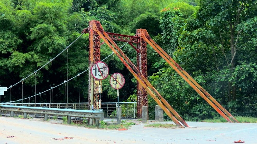 Фотография автора Hilary McShine