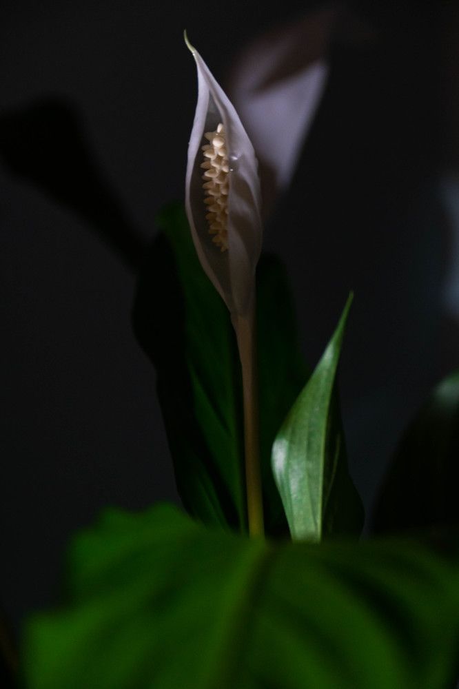 Фотография автора Оксана Белозерская