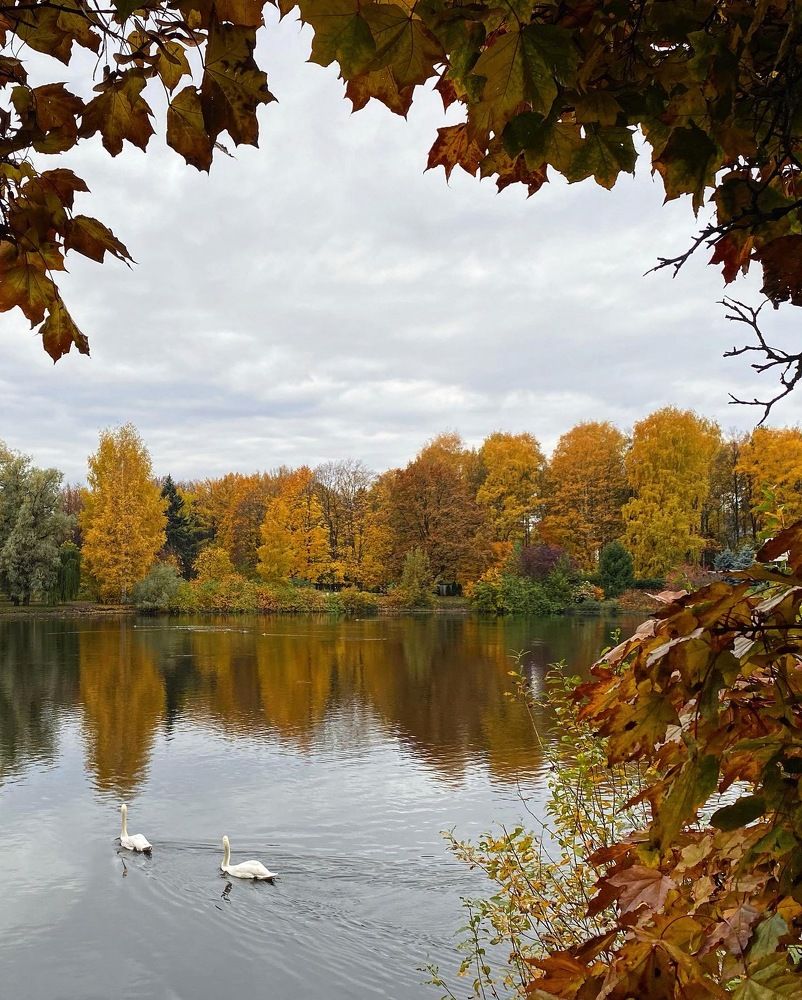 Photograph by Светлана Коган