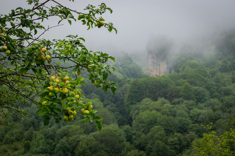 Фотография автора Оксана Белозерская