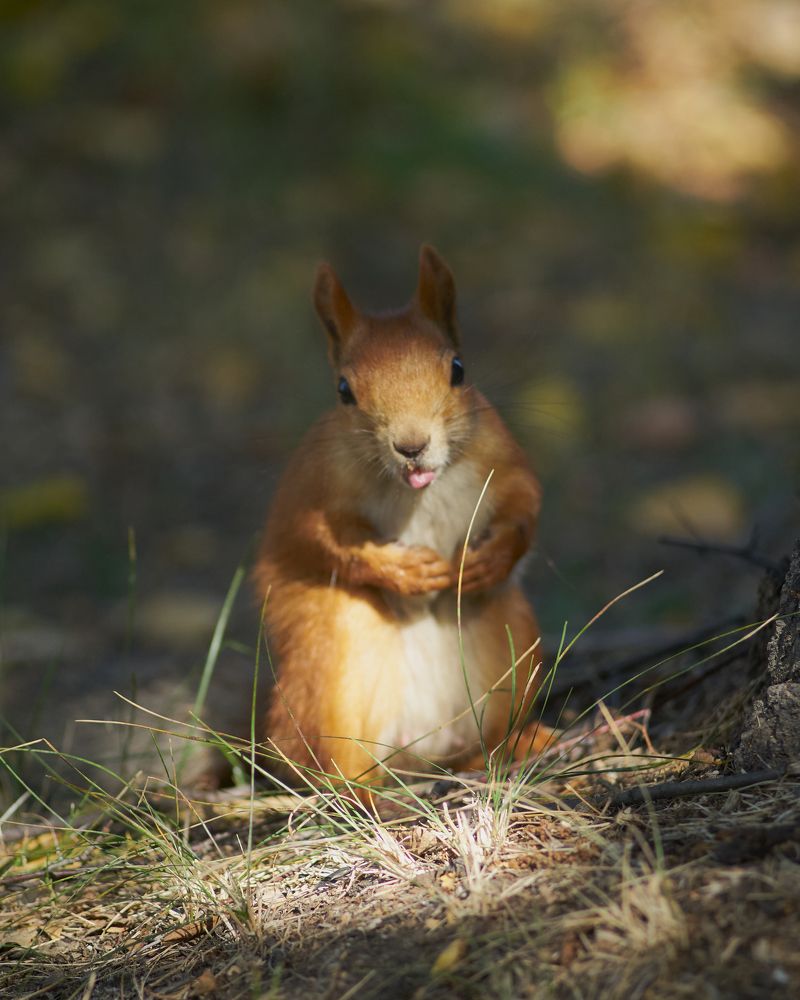 Photograph by Ирина Секачева