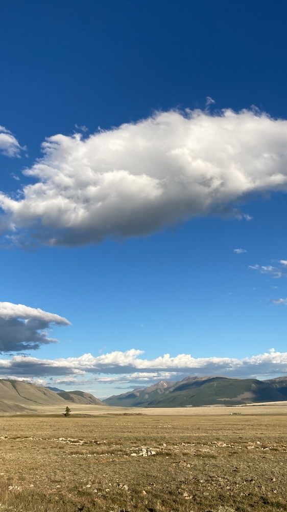 Photograph by Елена