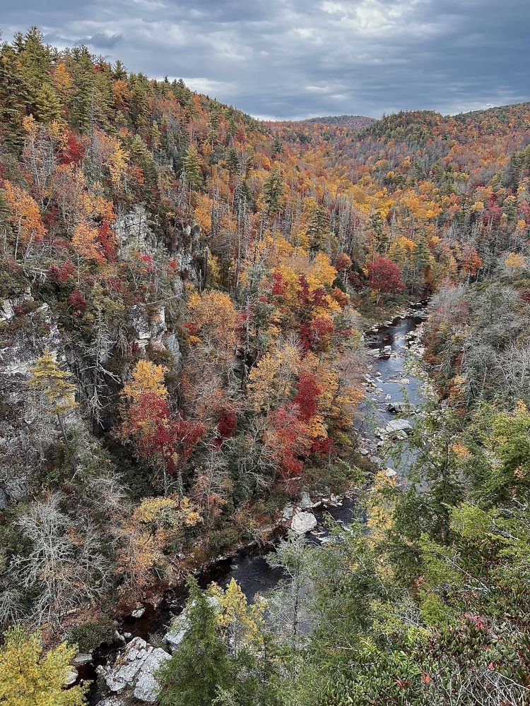 Фотография автора Olga Kichkaila