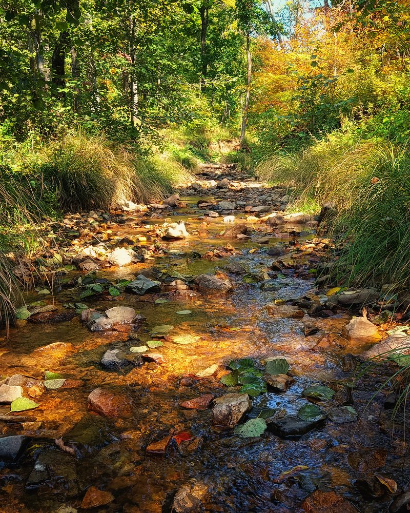 Photograph by Валентин Кольцов