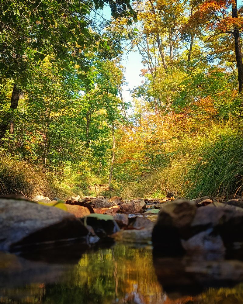 Photograph by Валентин Кольцов