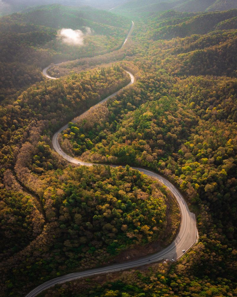 Photograph by Валентин Кольцов