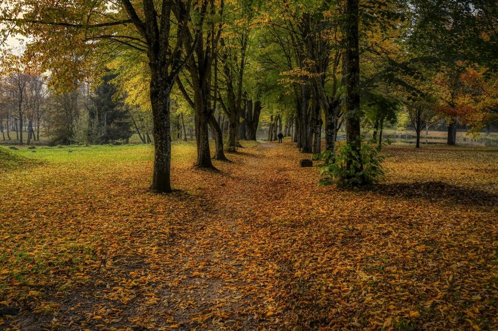 Photograph by Jānis Sērdienis