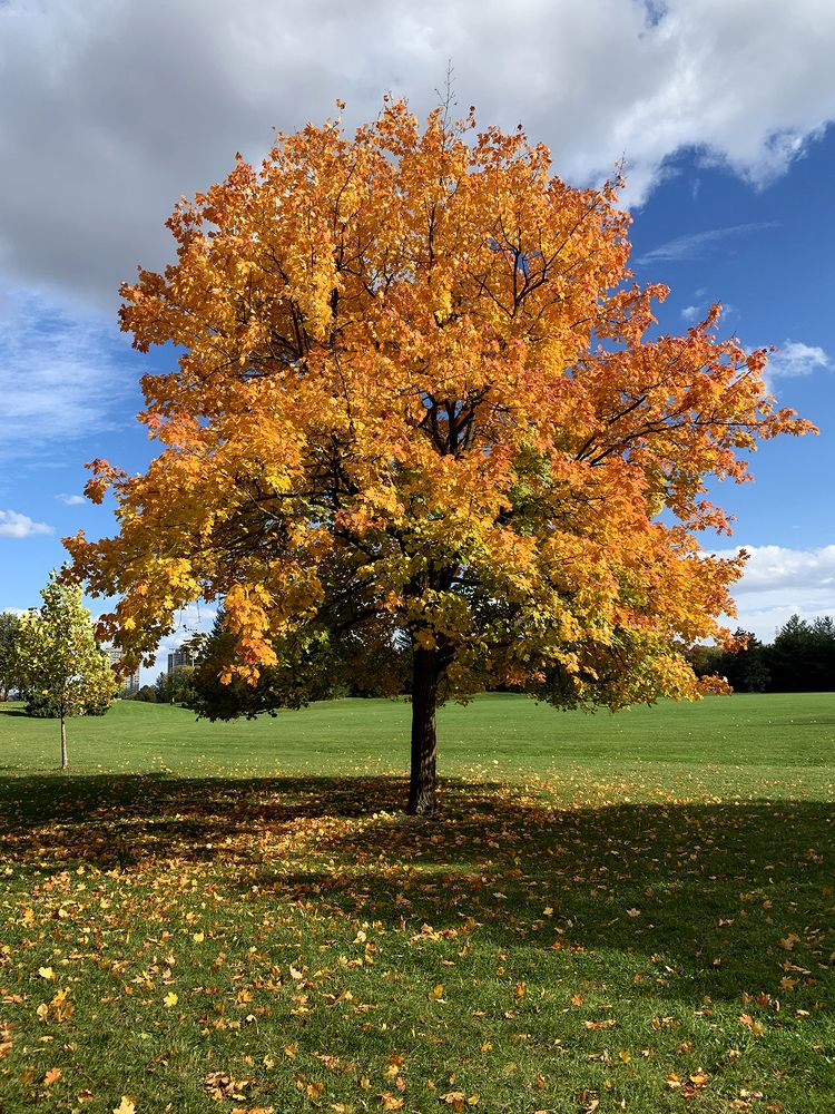 Photograph by Liliana Grup