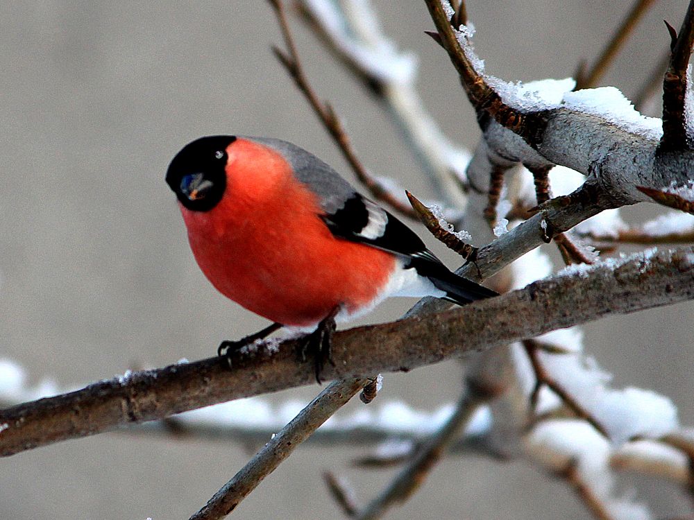 Photograph by Зоя Быкова