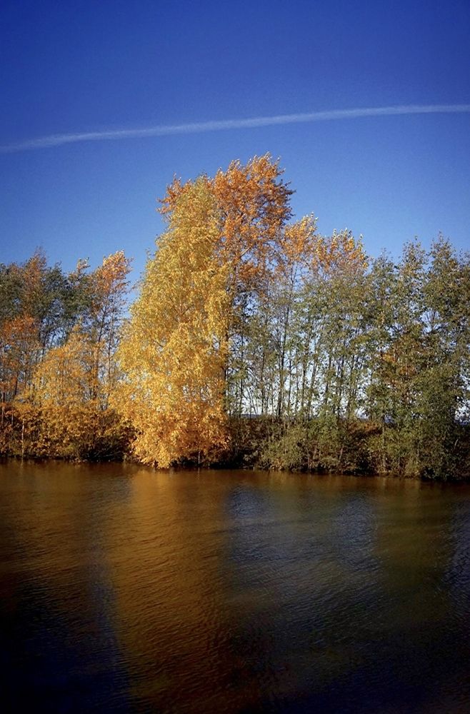 Photograph by Юлия Дерябкина