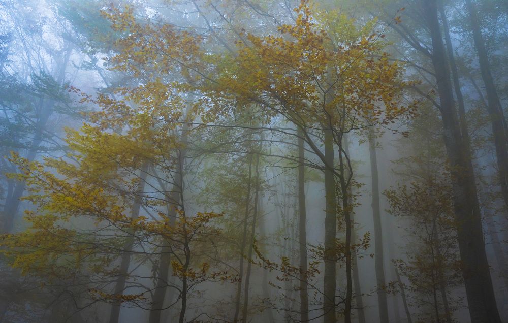 Фотография автора Виктор Демидов