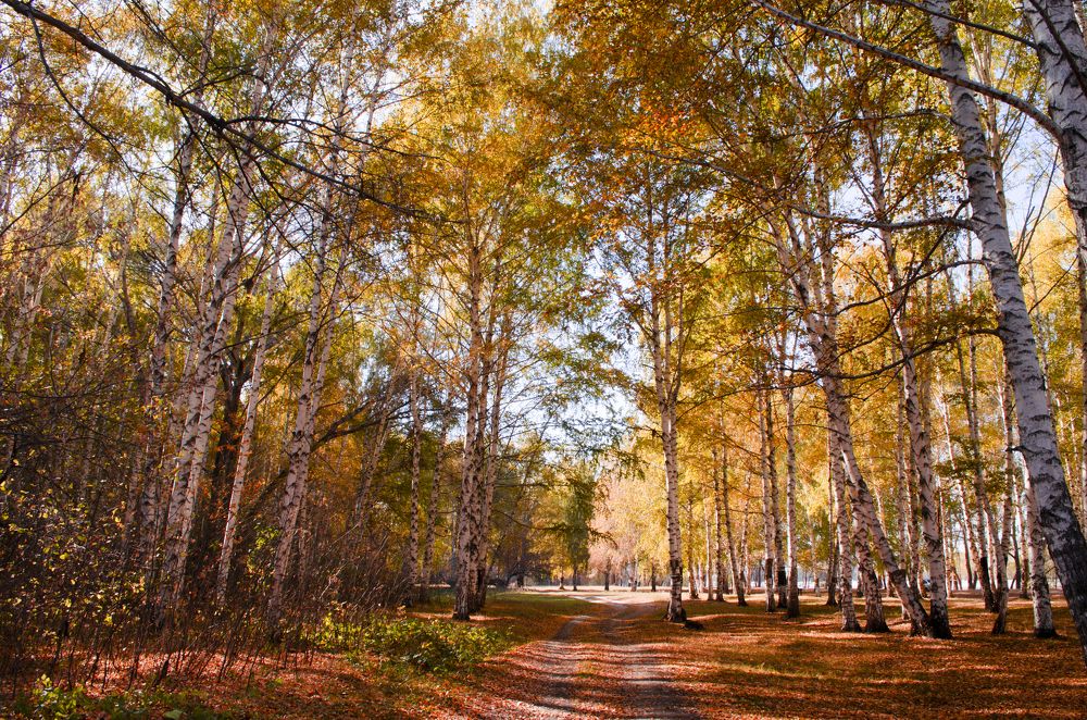 Фотография автора Сергей Ляшко
