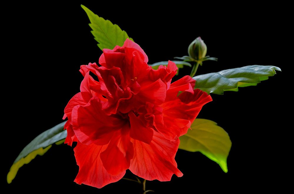 Photograph by Илфир Исламгазин