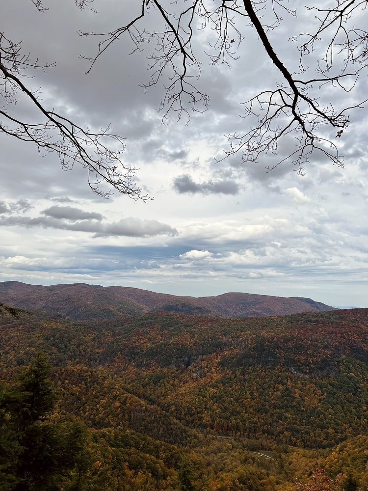 Фотография автора Olga Kichkaila