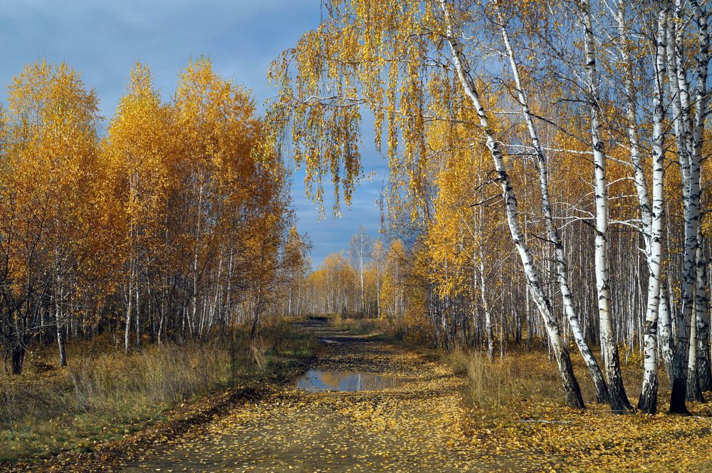 Photograph by Мишустина Татьяна