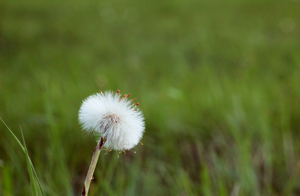 Photograph by Владимир Полотов